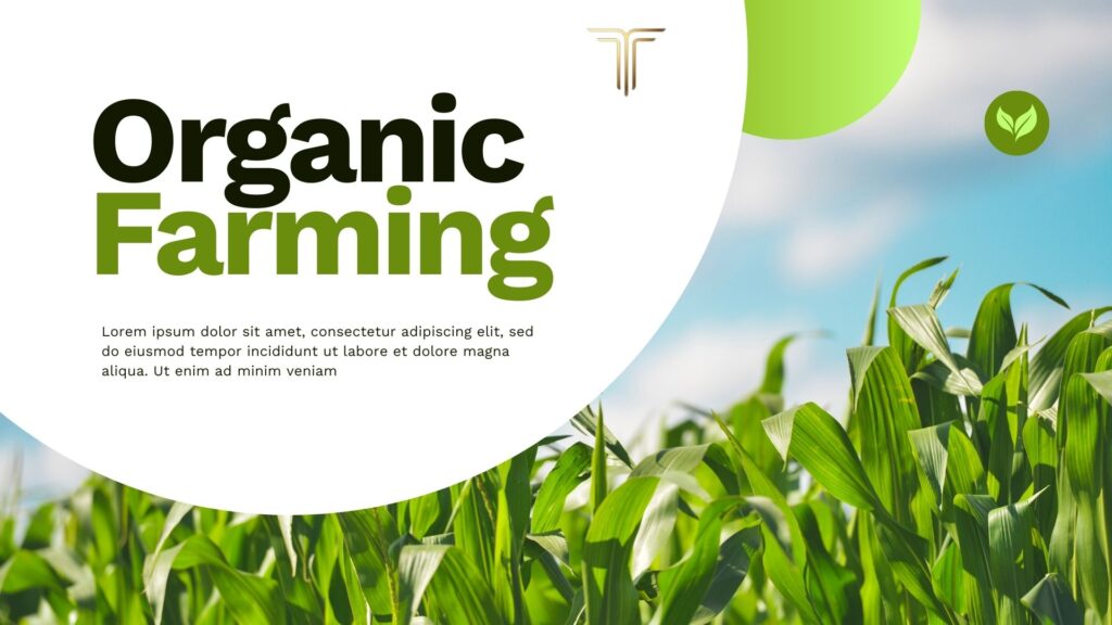 bihar best bussiness idea 2026